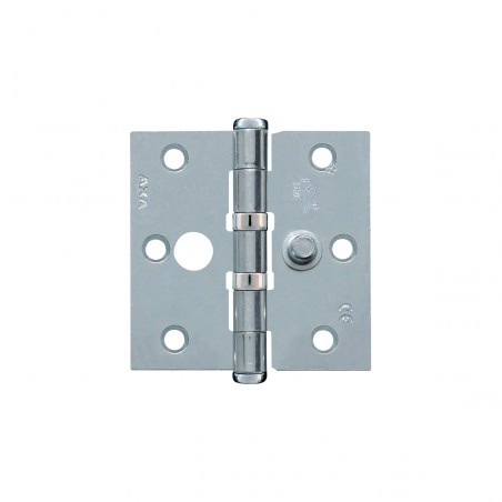 Axa Safety Ball Bearing Hinge