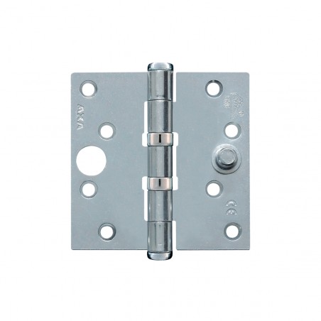 Axa Safety Ball Bearing Hinge