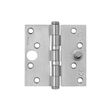 Axa Safety Ball Bearing Hinge