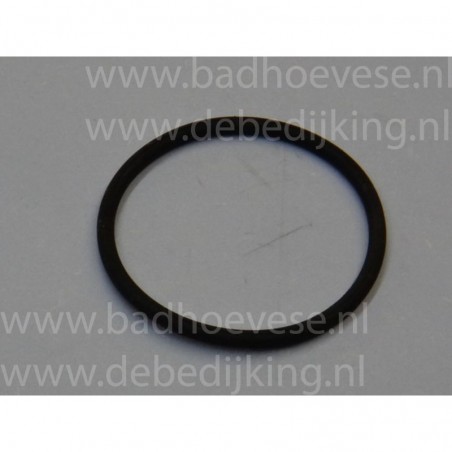 Rubber O-ring   160 x 10 mm