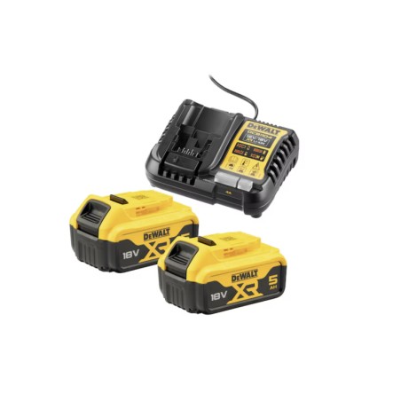 DW 18V Battery discount set 2x 5.0Ah